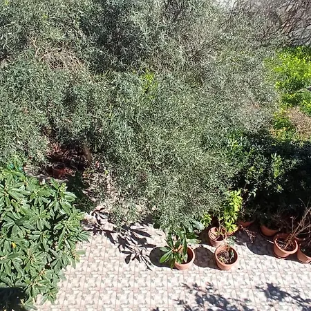 Il Mulino